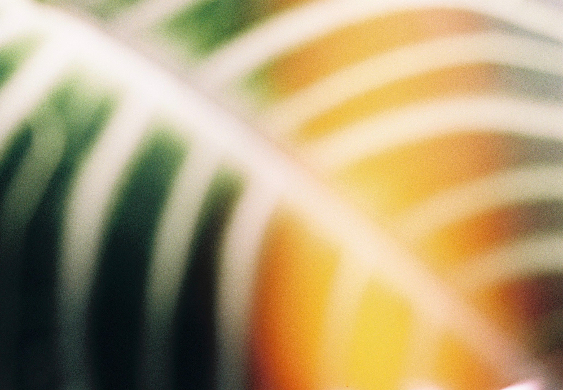 Essence