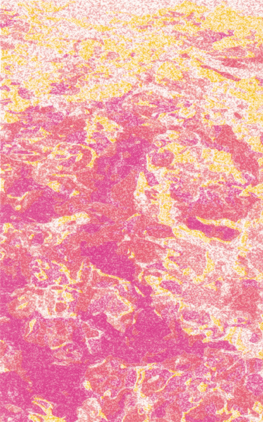 Digital Riso